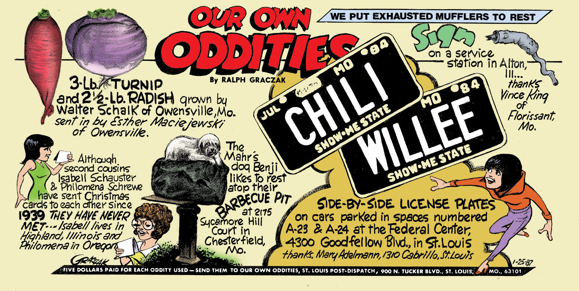 Our Own Oddities